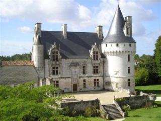 Chateau De Crazannes Esterno foto